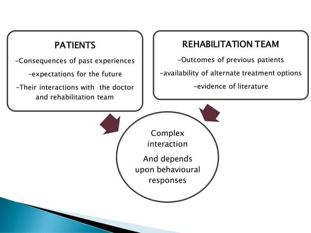 Community Dynamics Pdf