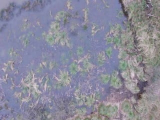 Community Eco-Drone Workshop March 2016