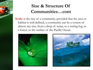 Size & Structure Of
Communities…cont
Scale: is the size of a community. provided that the area or
habitat is well defined, a community can be a system of
almost any size, from a drop of water, to a rotting log, to
a forest, to the surface of the Pacific Ocean.
 