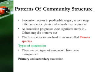 Patterns Of Community Structure
• Succession occurs in predictable stages , at each stage
different species plants and animals may be present
• As succession progresses ,new organisms move in ,
Others may die or move out
• The first species to take hold in an area called Pioneer
species
Types of succession
• There are two types of succession have been
distinguished.
Primary and secondary succession
 