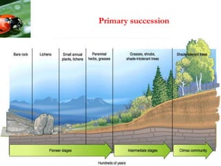 Primary succession
 