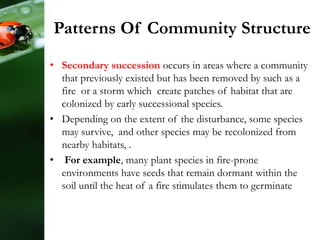 • Secondary succession occurs in areas where a community
that previously existed but has been removed by such as a
fire or a storm which create patches of habitat that are
colonized by early successional species.
• Depending on the extent of the disturbance, some species
may survive, and other species may be recolonized from
nearby habitats, .
• For example, many plant species in fire-prone
environments have seeds that remain dormant within the
soil until the heat of a fire stimulates them to germinate
Patterns Of Community Structure
 