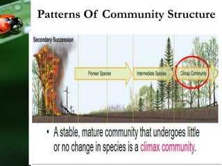 Patterns Of Community Structure
 