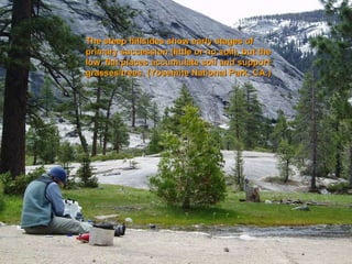 The steep hillsides show early stages of primary succession (little or no soil), but the low, flat places accumulate soil and support grasses/trees. (Yosemite National Park, CA.) 