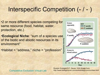 Interspecific Competition (- / - ) Russian Ecologist G.F. Gause 1934 (Image from: http://www.biologycorner.com/bio4/ecology/communities.html 2 or more different species competing for same resource (food, habitat, water, protection, etc.) Ecological Niche : “sum of a species use of the biotic and abiotic resources in its environment”  Habitat = “address,” niche = “profession” Competitive Exclusion Virtual Lab 