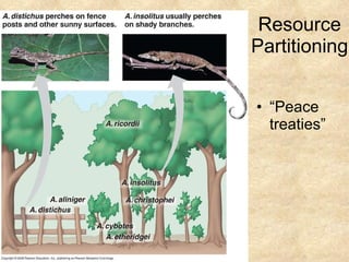 Resource Partitioning “Peace treaties” 