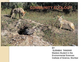 BY
SURABHI TANWAR
Masters Student in the
Environmental Sciences
Institute of Science, Mumbai
COMMUNITY ECOLOGY
 