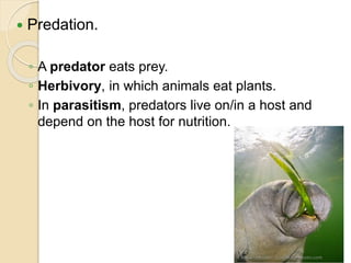  Predation.
◦ A predator eats prey.
◦ Herbivory, in which animals eat plants.
◦ In parasitism, predators live on/in a host and
depend on the host for nutrition.
 