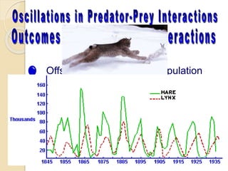  Offset oscillations in the population
sizes of the predator and prey
 Coevolution of predator and prey
 