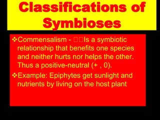 Classifications of
Symbioses
Commensalism - Is a symbiotic
relationship that benefits one species
and neither hurts nor helps the other.
Thus a positive-neutral (+ , 0).
Example: Epiphytes get sunlight and
nutrients by living on the host plant
 