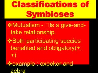 Classifications of
Symbioses
Mutualism - Is a give-and-
take relationship.
Both participating species
benefited and obligatory(+,
+)
example : oxpeker and
zebra
 