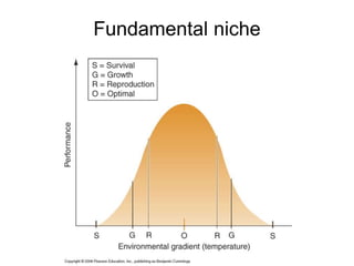 Fundamental niche
 