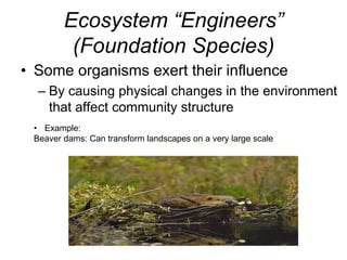 Ecosystem “Engineers”
(Foundation Species)
• Some organisms exert their influence
– By causing physical changes in the environment
that affect community structure
• Example:
Beaver dams: Can transform landscapes on a very large scale
 