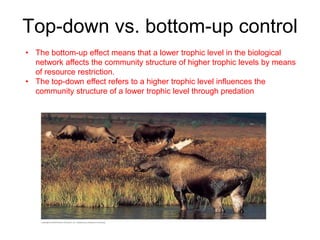 Top-down vs. bottom-up control
• The bottom-up effect means that a lower trophic level in the biological
network affects the community structure of higher trophic levels by means
of resource restriction.
• The top-down effect refers to a higher trophic level influences the
community structure of a lower trophic level through predation
 