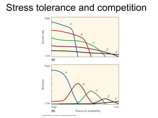 Stress tolerance and competition
 