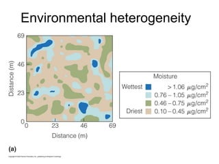 Environmental heterogeneity
 