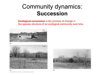 Community dynamics:
Succession
Ecological succession is the process of change in
the species structure of an ecological community over time.
 