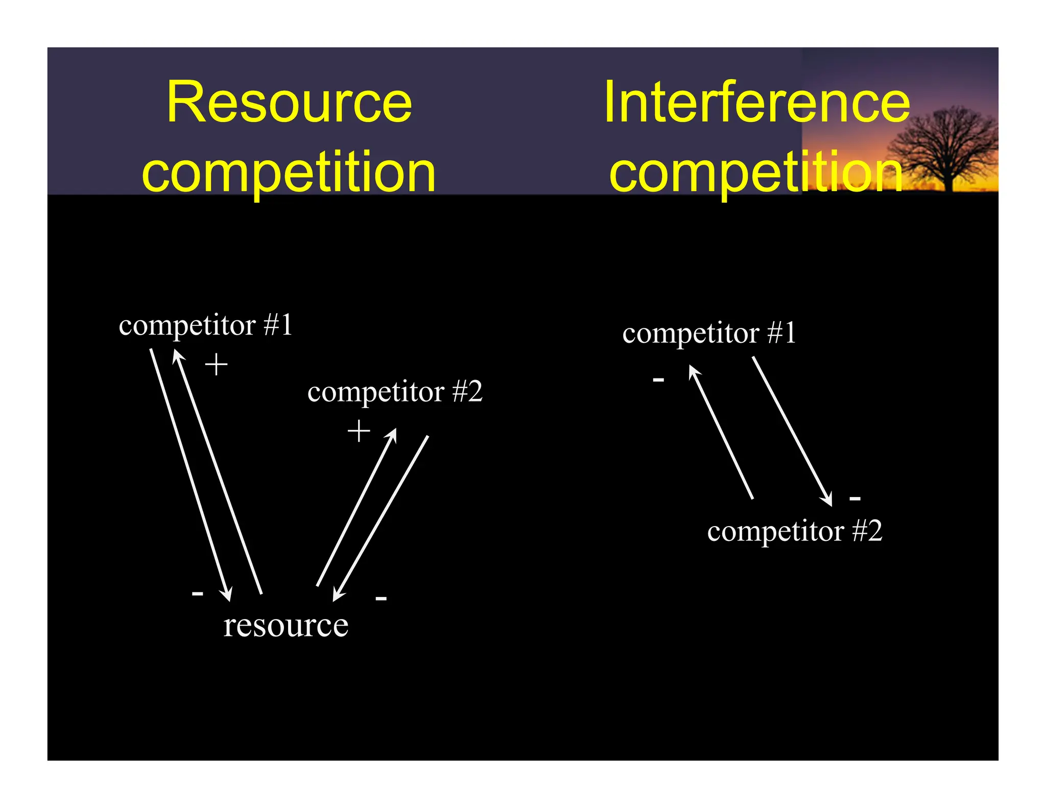 competitor #1
competitor #2
resource
- -
+
+
Resource
competition
Resource
competition
Interference
competition
Interference
competition
competitor #1
competitor #2
-
-
 