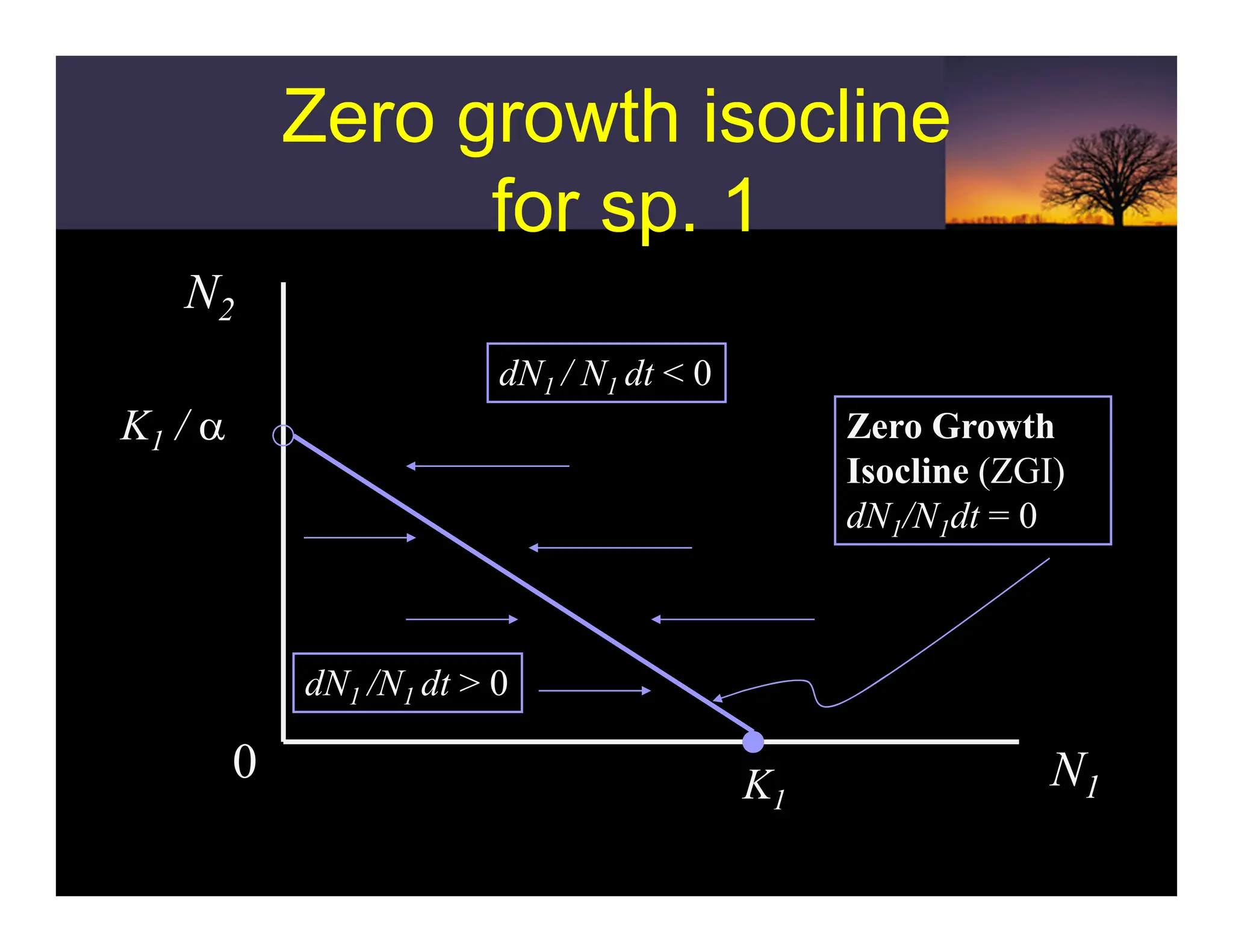 Zero growth isocline
for sp. 1
Zero growth isocline
for sp. 1
N2
N1
0 K1
K1 / α
dN1 /N1 dt > 0
dN1 / N1 dt < 0
Zero Growth
Isocline (ZGI)
dN1/N1dt = 0
 