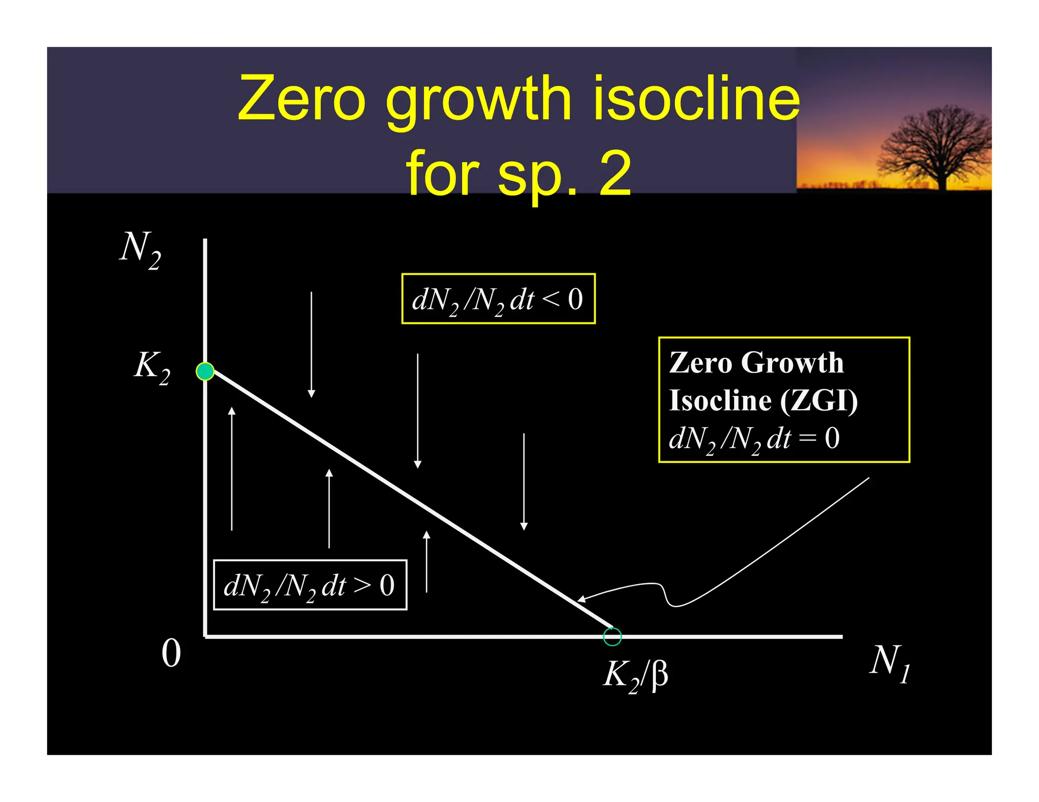 Zero growth isocline
for sp. 2
Zero growth isocline
for sp. 2
N2
N1
0 K2/β
K2
dN2 /N2 dt > 0
dN2 /N2 dt < 0
Zero Growth
Isocline (ZGI)
dN2 /N2 dt = 0
 