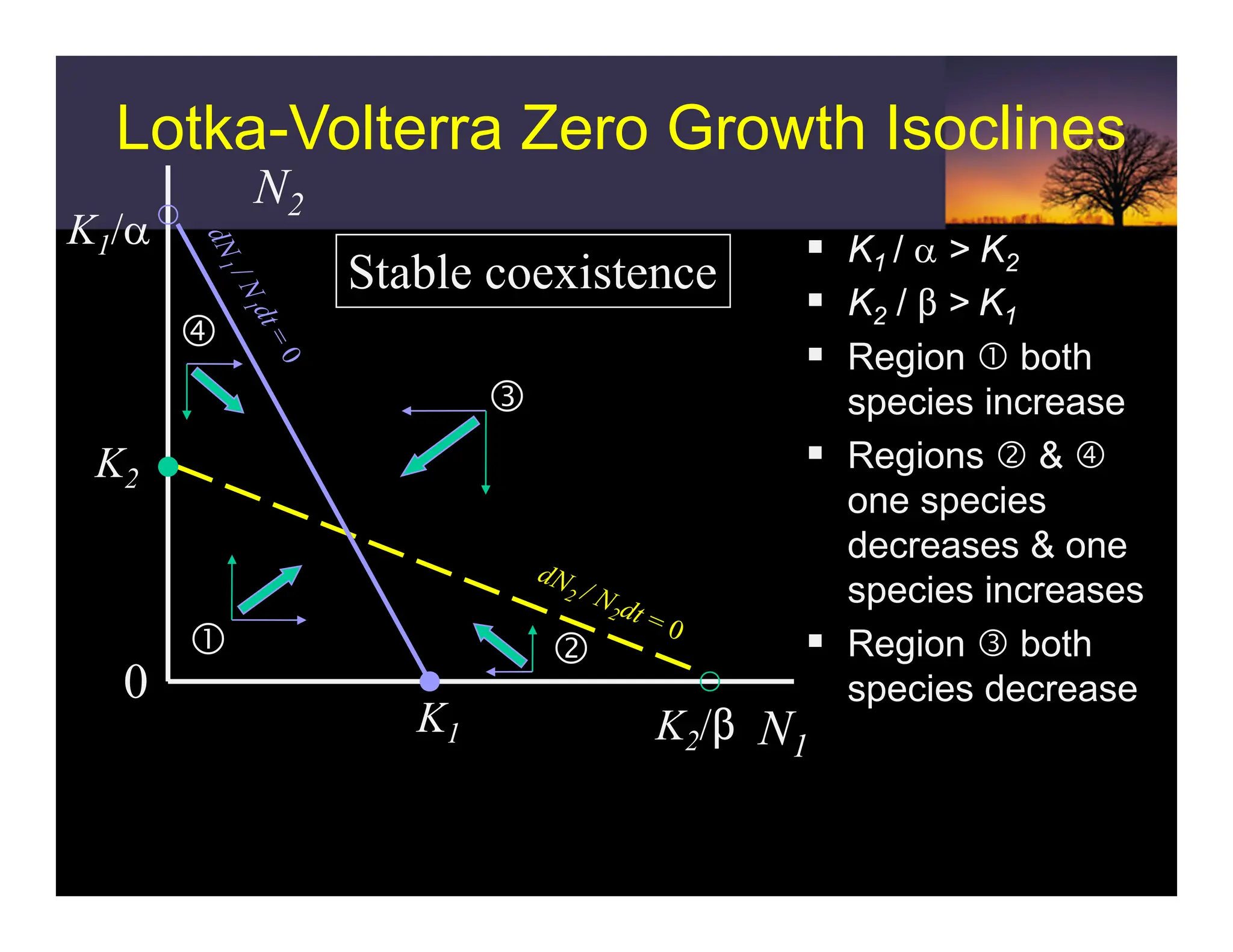 Lotka-Volterra Zero Growth Isoclines
N2
ƒ K1 / α > K2
ƒ K2 / $ > K1
ƒ Region c both
species increase
ƒ Regions d & f
one species
decreases & one
species increases
ƒ Region e both
species decrease
N1
0
K2/$
K2
K1
c d
e
K1/α
f
Stable coexistence
 