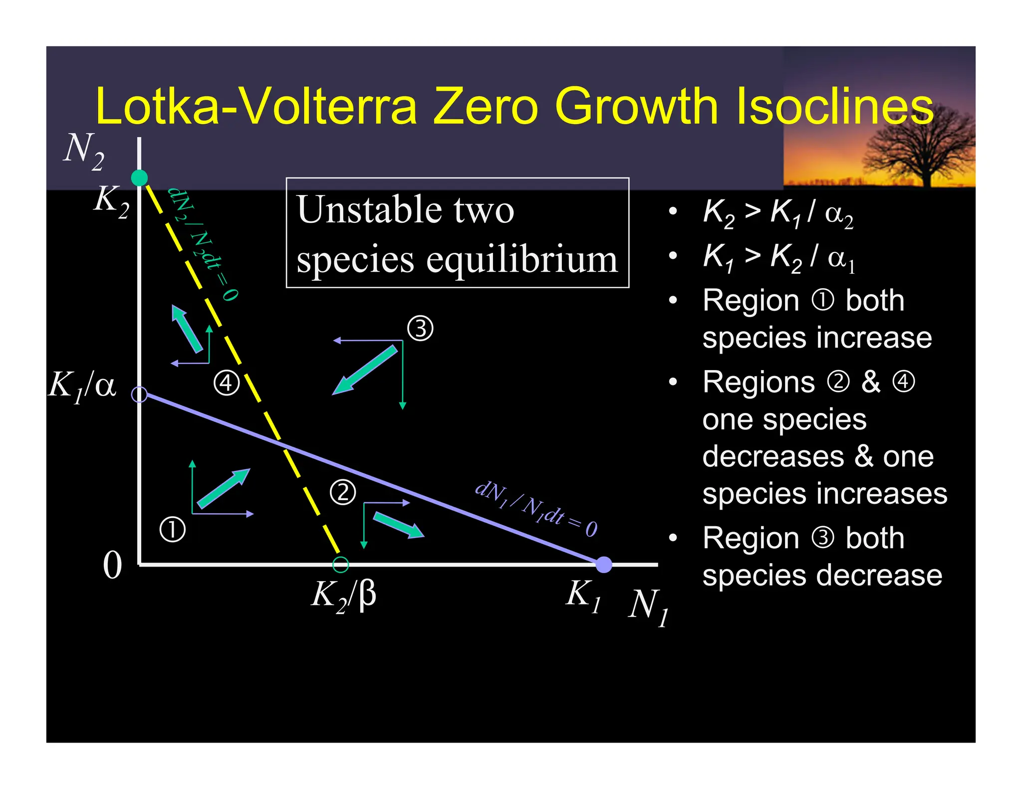 N1
0
K2/$
K2
K1
c
d
e
Lotka-Volterra Zero Growth Isoclines
• K2 > K1 / α2
• K1 > K2 / α1
• Region c both
species increase
• Regions d & f
one species
decreases & one
species increases
• Region e both
species decrease
K1/α
N2
f
Unstable two
species equilibrium
 