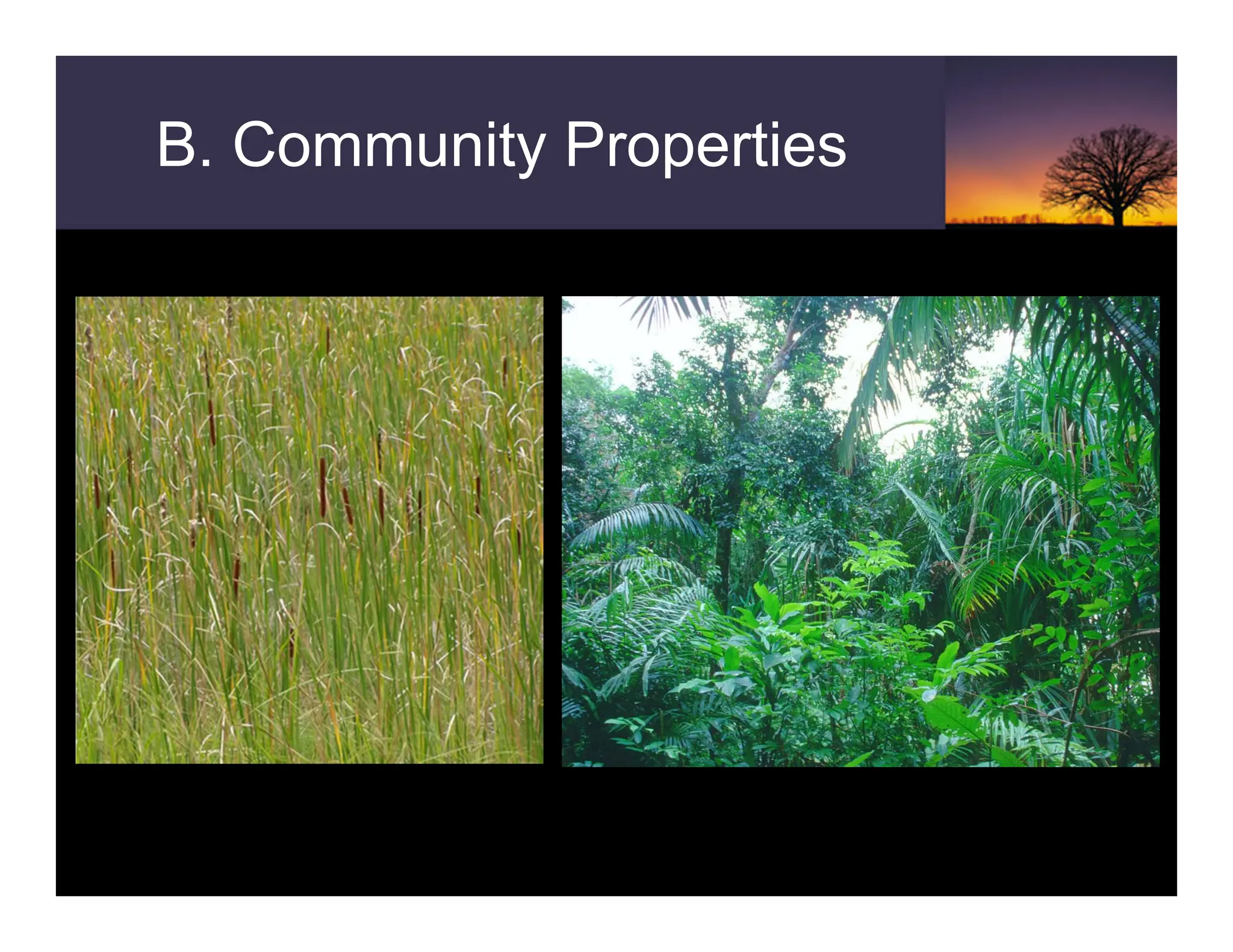 B. Community Properties
 
