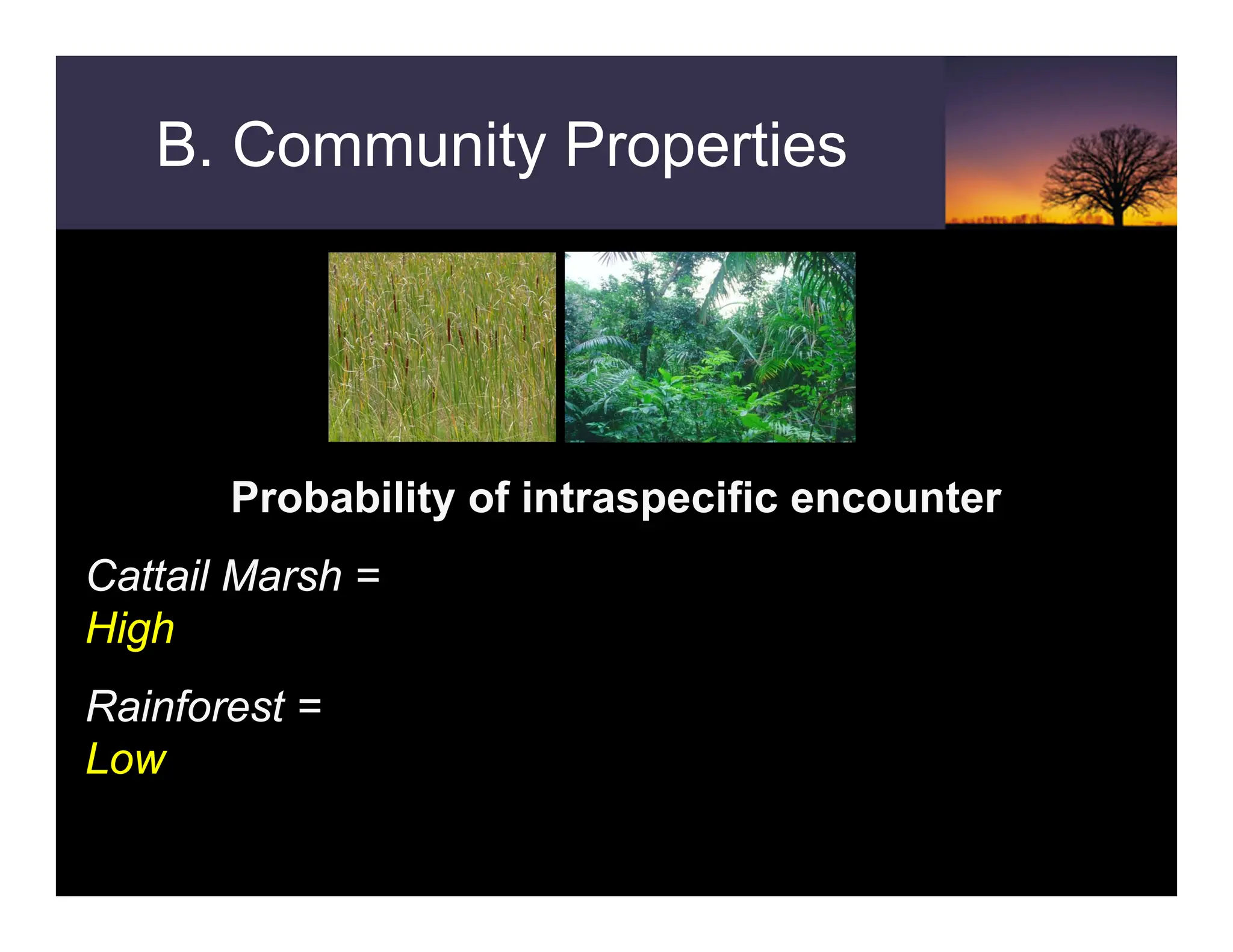 B. Community Properties
Probability of intraspecific encounter
Cattail Marsh =
High
Rainforest =
Low
 