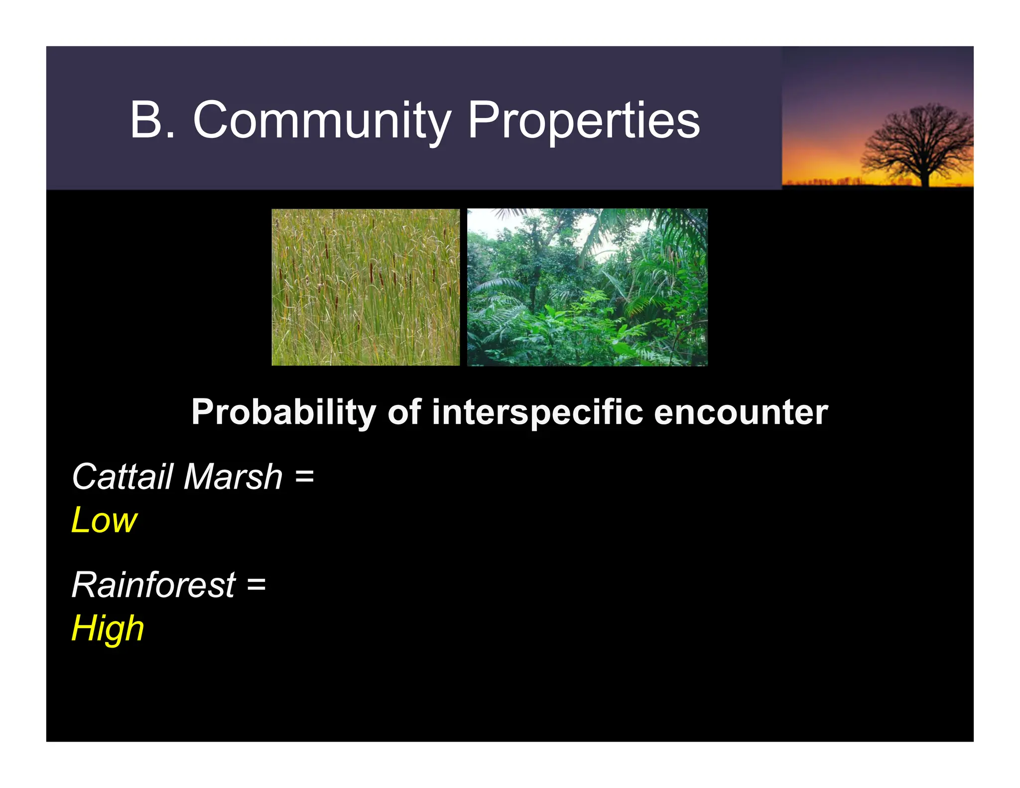 B. Community Properties
Probability of interspecific encounter
Cattail Marsh =
Low
Rainforest =
High
 