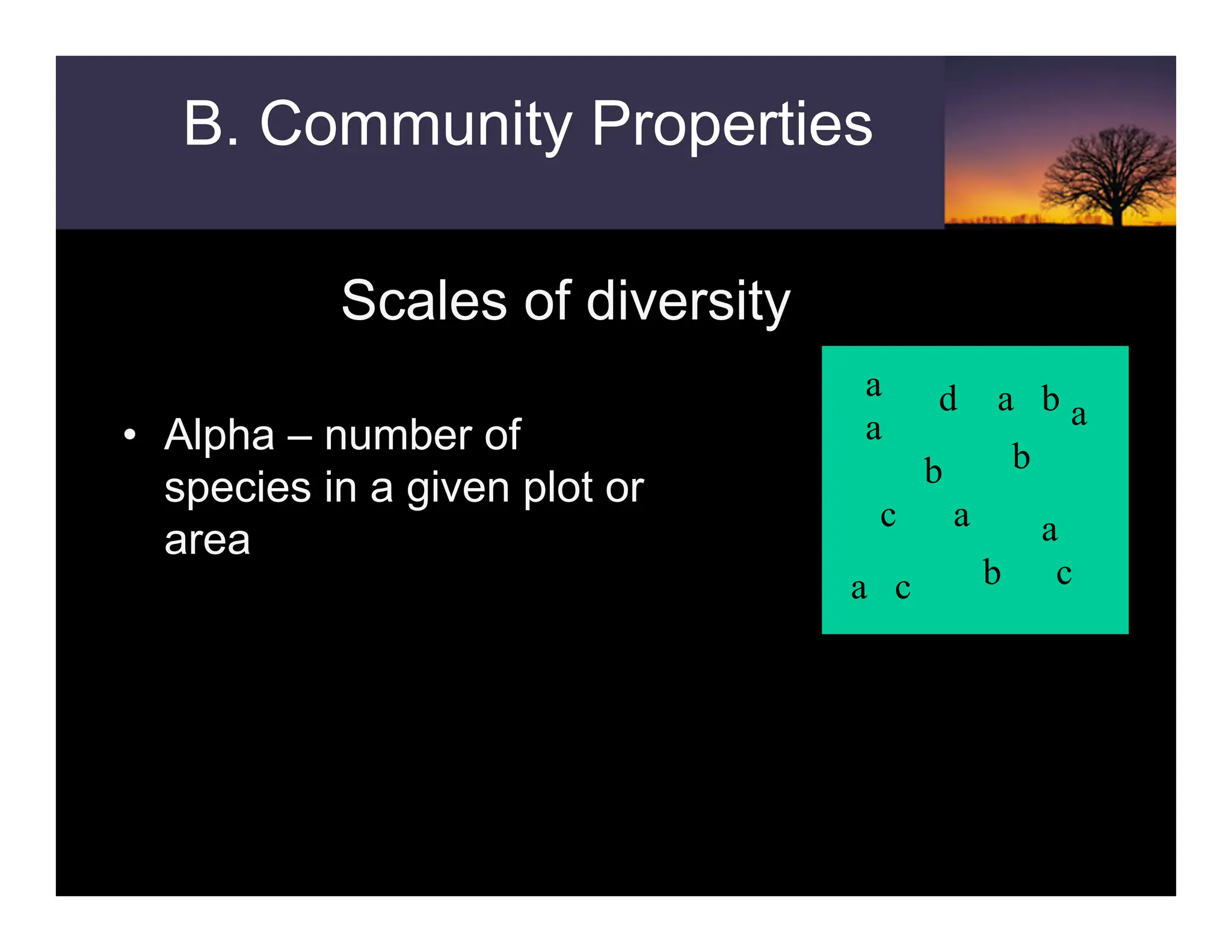 Scales of diversity
• Alpha – number of
species in a given plot or
area
a
c
d
a
b
c c
a
a
a
a
a b
b
b
B. Community Properties
 