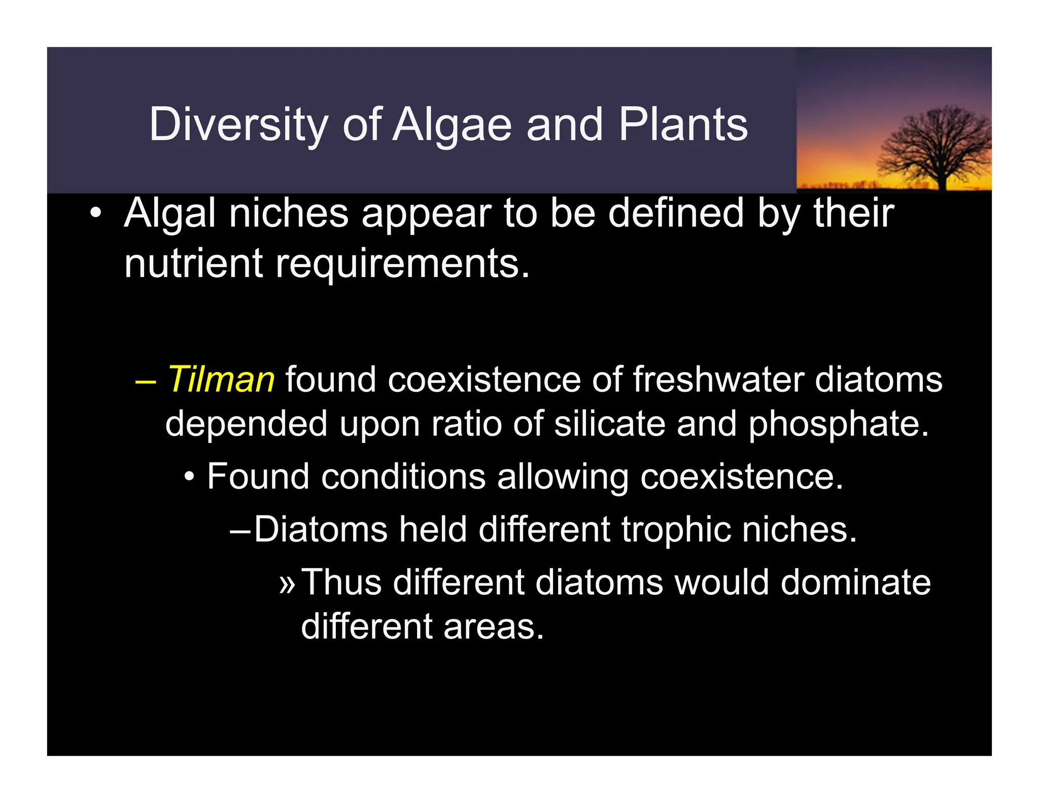 Diversity of Algae and Plants
• Algal niches appear to be defined by their
nutrient requirements.
– Tilman found coexistence of freshwater diatoms
depended upon ratio of silicate and phosphate.
• Found conditions allowing coexistence.
–Diatoms held different trophic niches.
»Thus different diatoms would dominate
different areas.
 