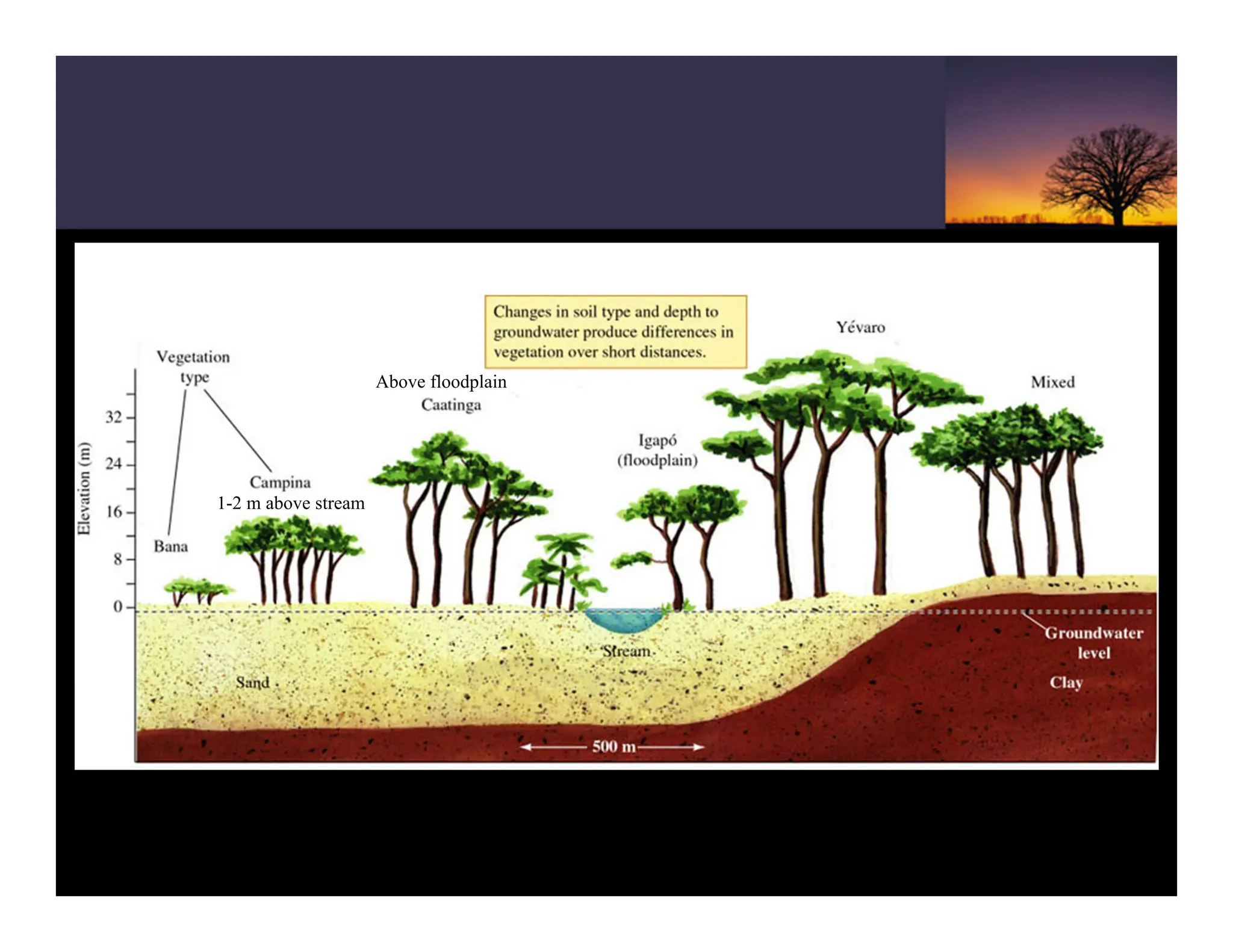 Above floodplain
1-2 m above stream
 