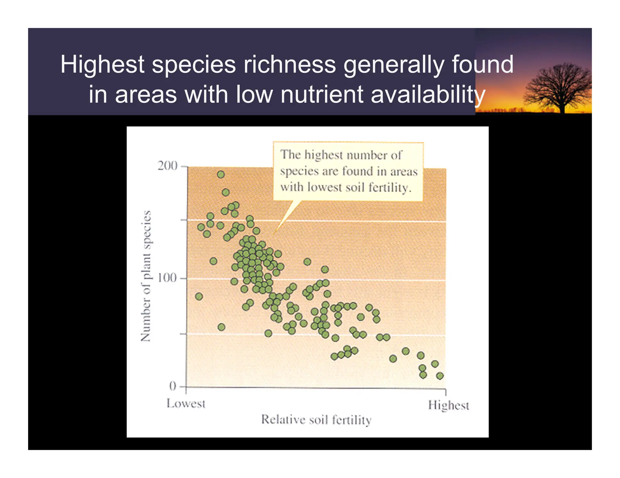 Highest species richness generally found
in areas with low nutrient availability
 