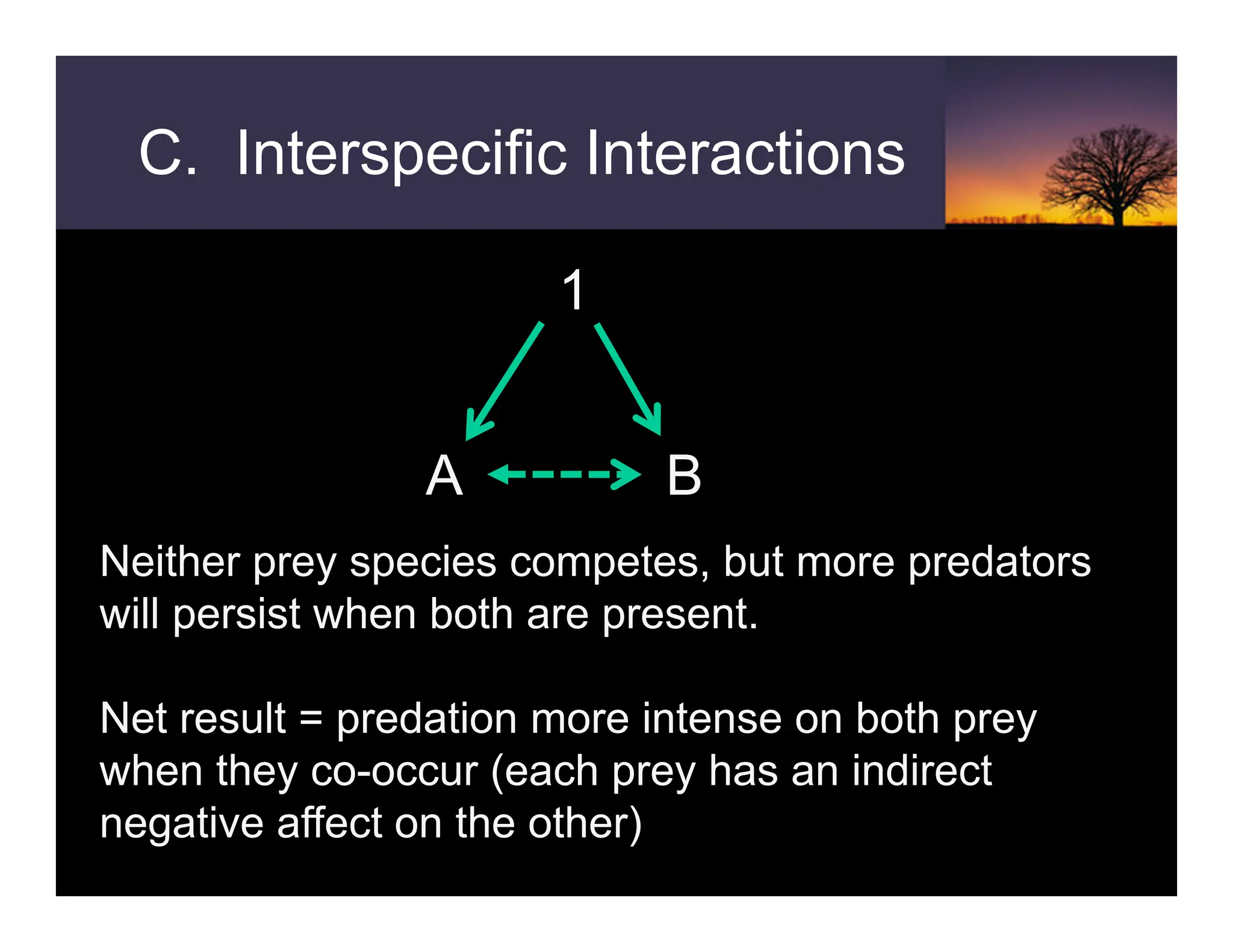 C. Interspecific Interactions
1
A B
Neither prey species competes, but more predators
will persist when both are present.
Net result = predation more intense on both prey
when they co-occur (each prey has an indirect
negative affect on the other)
 