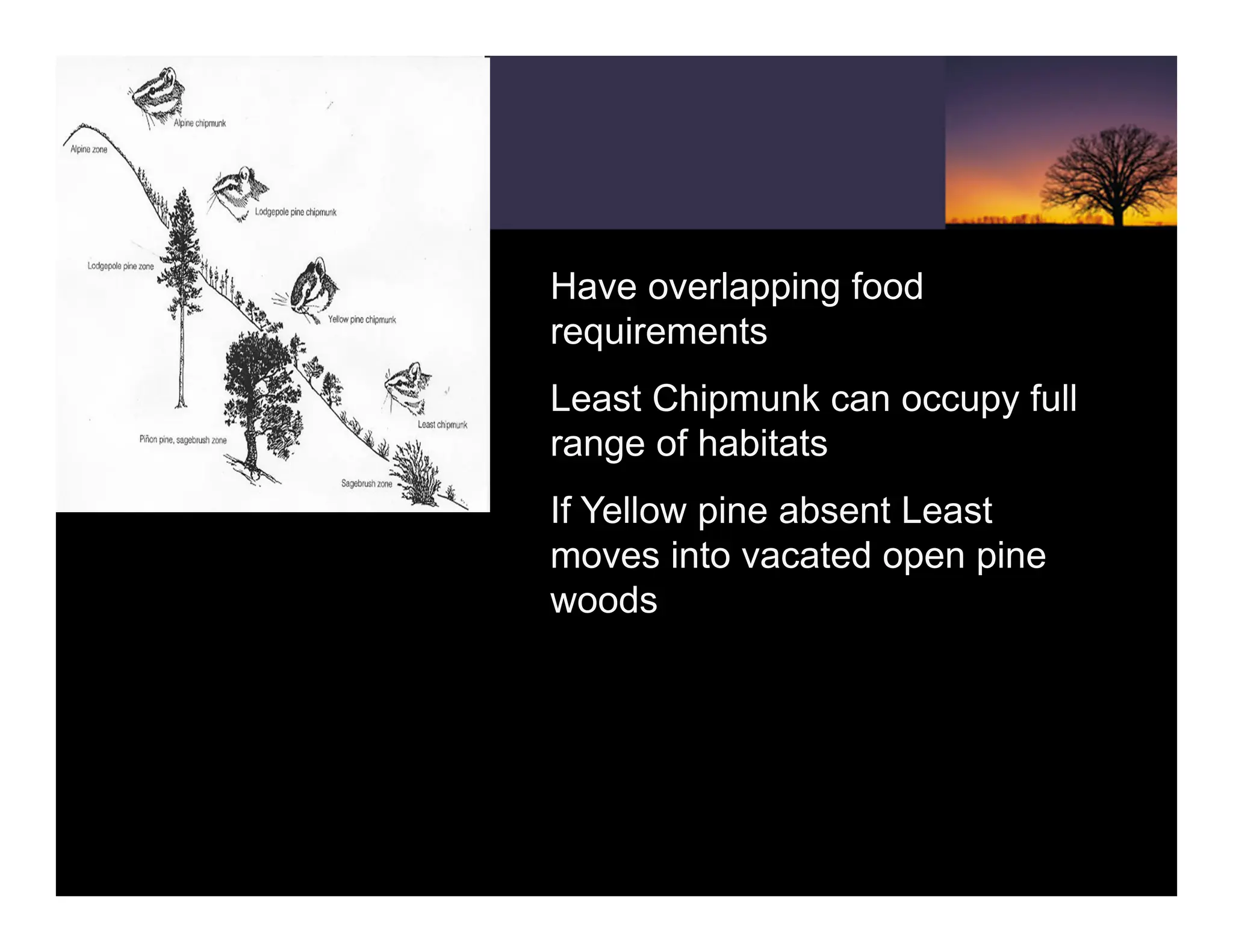 Have overlapping food
requirements
Least Chipmunk can occupy full
range of habitats
If Yellow pine absent Least
moves into vacated open pine
woods
 