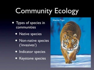 Community Ecology
                         Siberian Tiger
• Types of species in
  communities
  • Native species
  • Non-native species
    (‘invasives’)
  • Indicator species
  • Keystone species
 