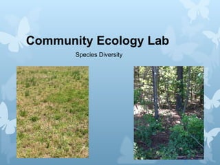 Community Ecology Lab
       Species Diversity
 