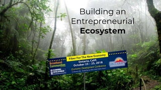 Building an
Entrepreneurial
Ecosystem
 