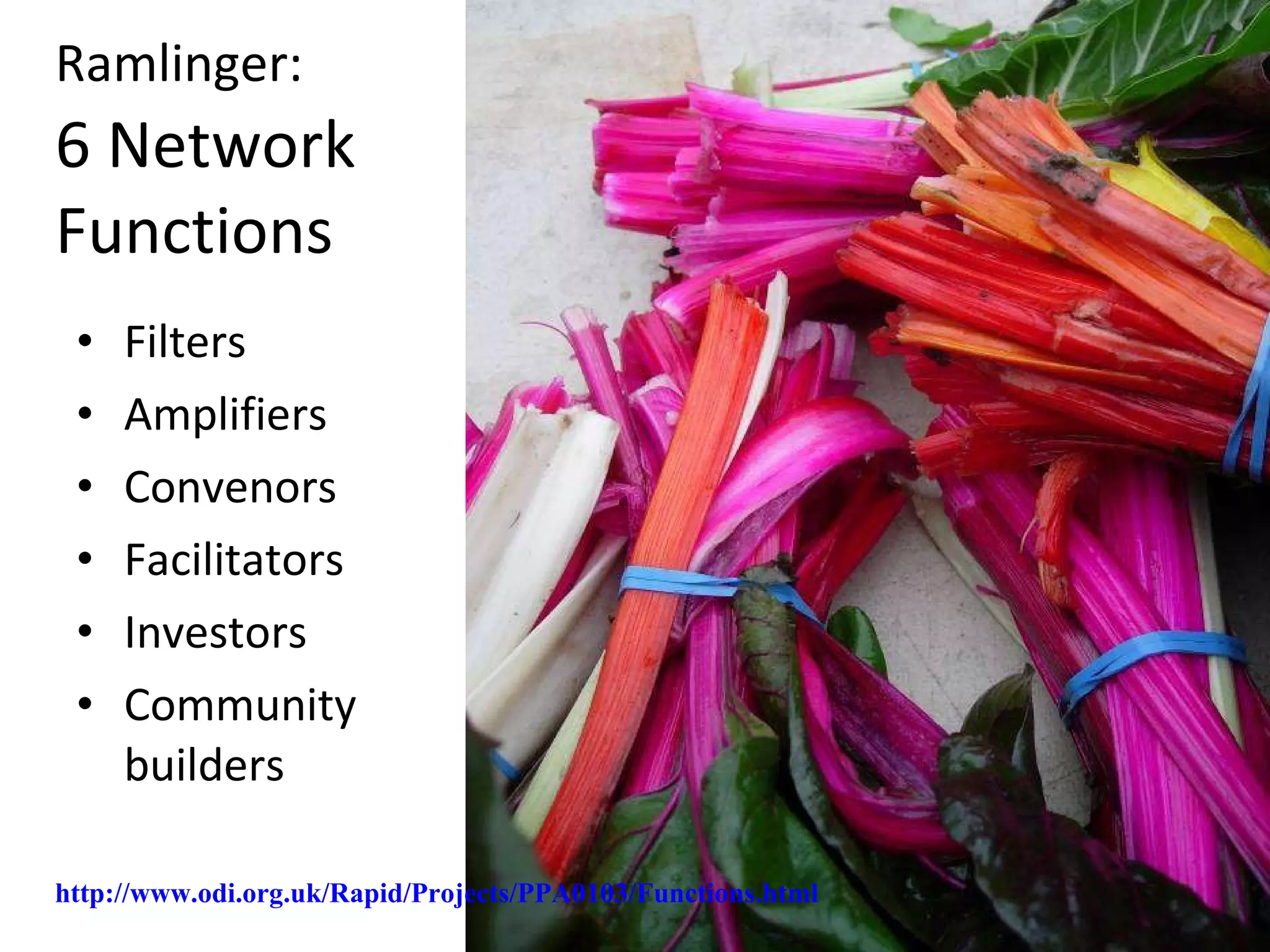 Ramlinger:   6 Network Functions Filters Amplifiers Convenors Facilitators Investors Community builders http://www.odi.org.uk/Rapid/Projects/PPA0103/Functions.html   