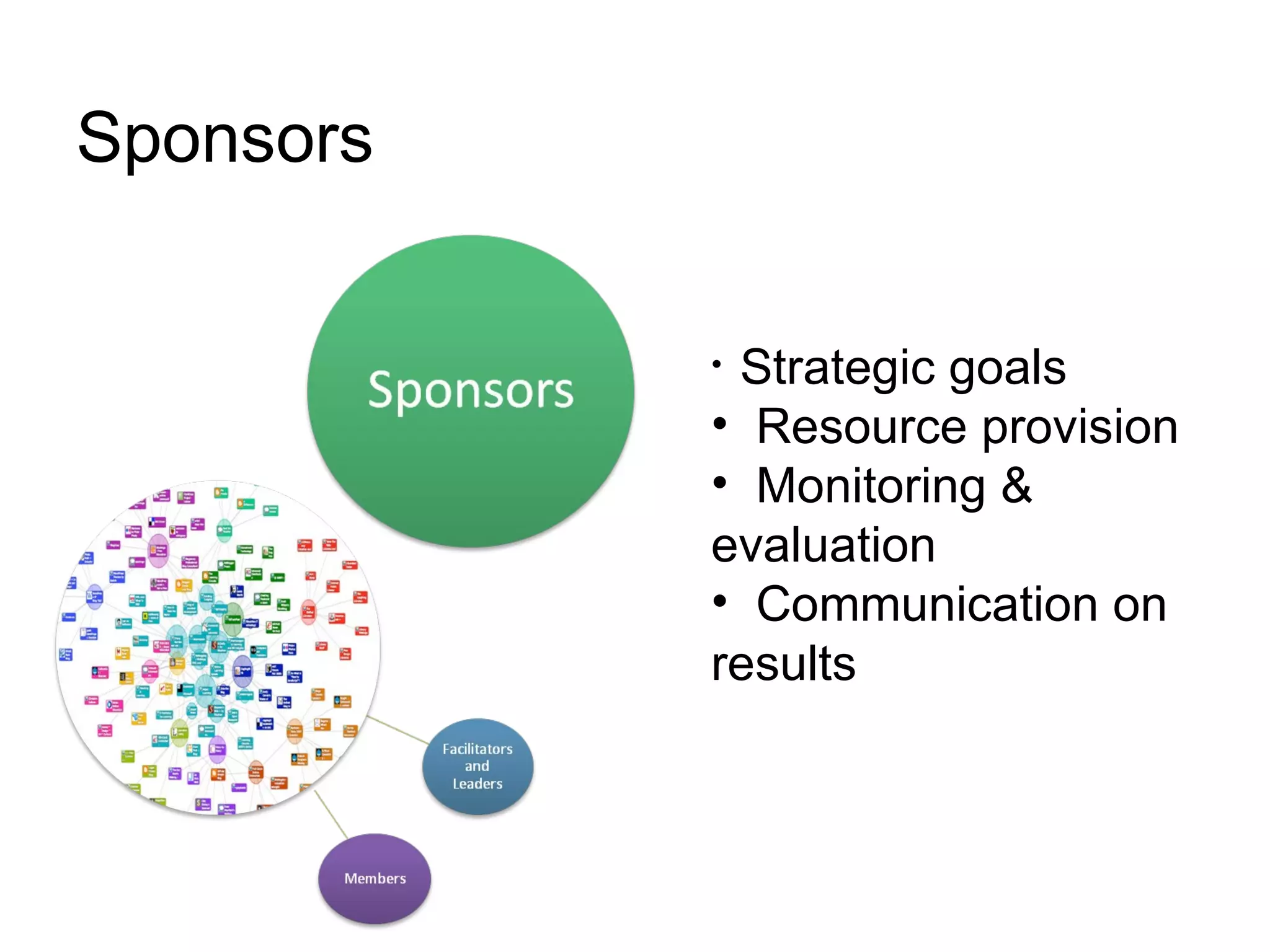 Sponsors Strategic goals Resource provision Monitoring & evaluation Communication on results 