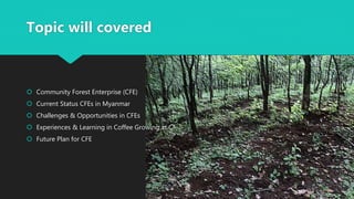 Community Forest Enterprise in Myanmar. | PPTX