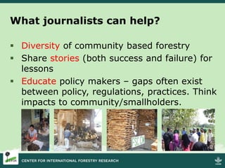 Community forestry and forest stewardship