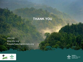 Community forestry and forest stewardship