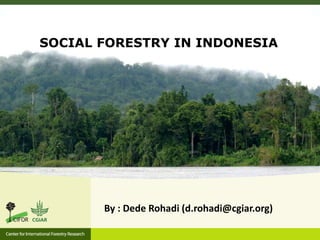 SOCIAL FORESTRY IN INDONESIA
By : Dede Rohadi (d.rohadi@cgiar.org)
 