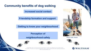 Community benefits of dog walking
Perception of
neighbourhood safety
Friendship formation and support
Getting to know your neighbourhood
Confidentiality notice: This document and the information it contains are confidential and the property of Mars
Incorporated. They may not in any way be disclosed, copied or used by anyone except when expressly authorised by
Mars Incorporated.©Mars 2014
Increased social contact
Photo credit: Adobe
 