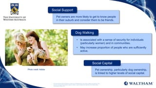 Pet owners are more likely to get to know people
in their suburb and consider them to be friends.
• Is associated with a sense of security for individuals
(particularly women) and in communities.
• May increase proportion of people who are sufficiently
active.
Pet ownership, particularly dog ownership,
is linked to higher levels of social capital.
Social Capital
Dog Walking
Social Support
This document and the information it contains are confidential and the property of Mars Incorporated. They
may not in any way be disclosed, copied or used by anyone except when expressly authorised by Mars
Incorporated. ©Mars 2015
Photo credit: Adobe
 