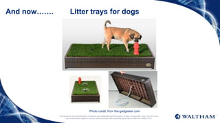This document and the information it contains are confidential and the property of Mars Incorporated. They may not in any
way be disclosed, copied or used by anyone except when expressly authorised by Mars Inc. ©Mars 2016
And now…….
Photo credit: from the-gadgeteer.com
Litter trays for dogs
 