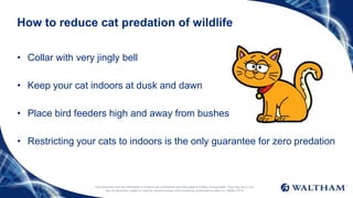How to reduce cat predation of wildlife
• Collar with very jingly bell
• Keep your cat indoors at dusk and dawn
• Place bird feeders high and away from bushes
• Restricting your cats to indoors is the only guarantee for zero predation
This document and the information it contains are confidential and the property of Mars Incorporated. They may not in any
way be disclosed, copied or used by anyone except when expressly authorised by Mars Inc. ©Mars 2016
 