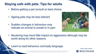 Staying safe with pets: Tips for adults
• Before getting a pet consult on best choice
• Ageing pets may be less tolerant
• Sudden changes in behaviour may
indicate an animal is unwell or in pain
• Neutering may have little impact on aggression although may be
worth doing for other reasons
• Learn to read behaviour and body language
This document and the information it contains are confidential and the property of Mars Incorporated. They may not in any
way be disclosed, copied or used by anyone except when expressly authorised by Mars Inc. ©Mars 2016
Photo credit: Adobe
 