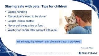Staying safe with pets: Tips for children
• Gentle handling
• Respect pet’s need to be alone
• Let pet initiate contact
• Never pull away a toy or food
• Wash your hands after contact with a pet
This document and the information it contains are confidential and the property of Mars Incorporated. They may not in any
way be disclosed, copied or used by anyone except when expressly authorised by Mars Inc. ©Mars 2016
Photo credit: Adobe
All animals, like humans, can bite and scratch if provoked
 